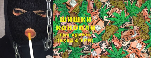 стаф Горняк