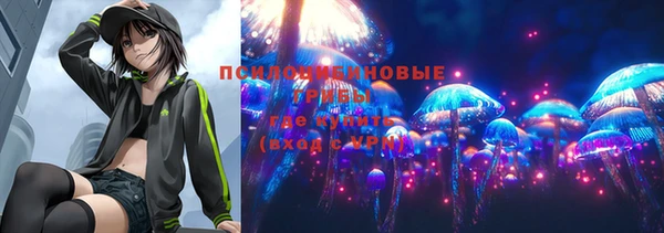 Альфа ПВП Горнозаводск