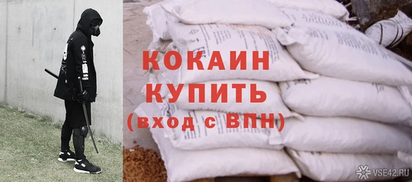 шишки Горно-Алтайск