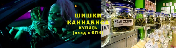 шишки Горно-Алтайск