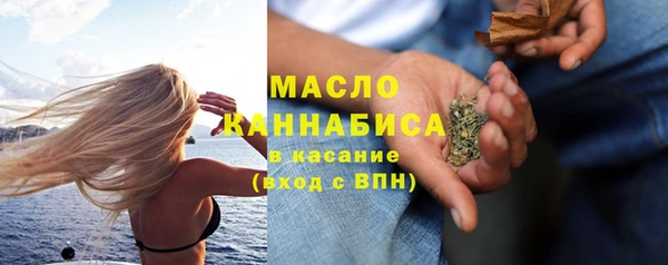 шишки Горно-Алтайск