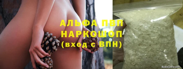 стаф Горняк