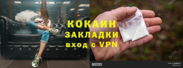 шишки Горно-Алтайск