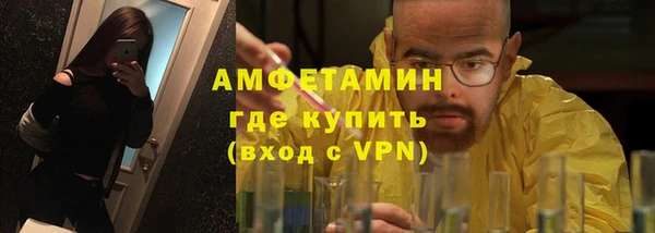 стаф Горняк