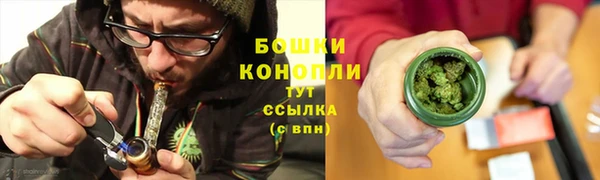 Альфа ПВП Горнозаводск