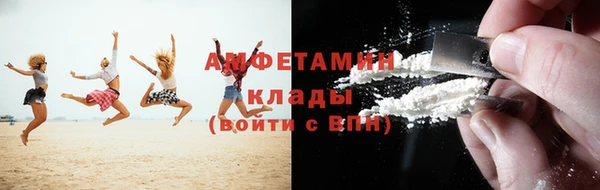 стаф Горняк