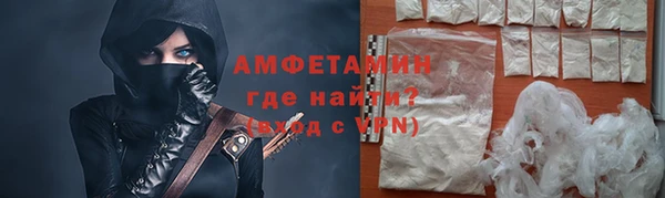шишки Горно-Алтайск