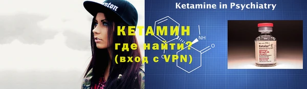 шишки Горно-Алтайск