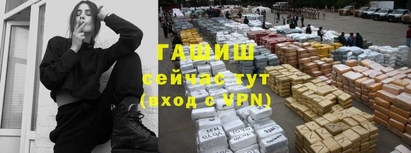 шишки Горно-Алтайск
