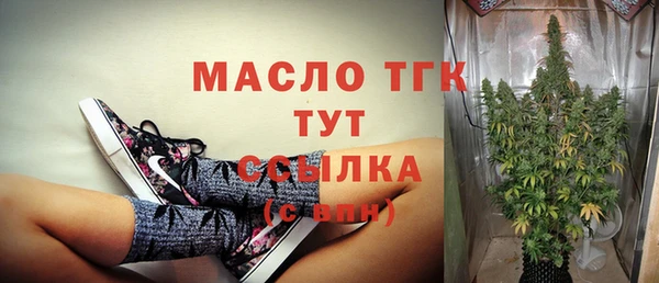 шишки Горно-Алтайск