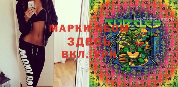 стаф Горняк