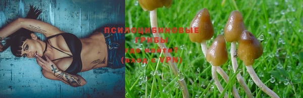шишки Горно-Алтайск